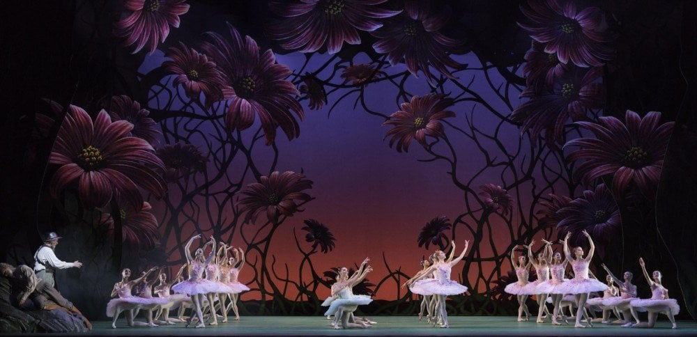 Members of The Royal Ballet in Don Quixote © ROH - Johan Persson 2013