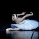 The Dying Swan with Svetlana Zakharova photo Pierluigi Abbondanza