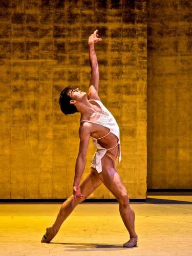 Davide Dato in John Neumeier%C2%B4s Joseph%C2%B4s Legend photo by Ashley Taylor Davide Dato in John Neumeier´s Joseph´s Legend, photo by Ashley Taylor