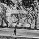 William Kentridge’s Triumphs and Laments in Rome, © Sandro Lombardo 3