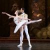 Birmingham Royal Ballet in rehearsal for Sleeping Beauty, photos by Dasa Wharton   16