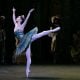 The Sleeping Beauty English National Ballet © Dasa Wharton 2018 06 The Sleeping Beauty, English National Ballet, © Dasa Wharton 2018 06