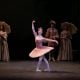 The Sleeping Beauty English National Ballet © Dasa Wharton 2018 14 The Sleeping Beauty, English National Ballet, © Dasa Wharton 2018 14