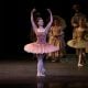 The Sleeping Beauty English National Ballet © Dasa Wharton 2018 15 The Sleeping Beauty, English National Ballet, © Dasa Wharton 2018 15