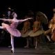 The Sleeping Beauty English National Ballet © Dasa Wharton 2018 16 The Sleeping Beauty, English National Ballet, © Dasa Wharton 2018 16