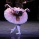 The Sleeping Beauty English National Ballet © Dasa Wharton 2018 19 The Sleeping Beauty, English National Ballet, © Dasa Wharton 2018 19