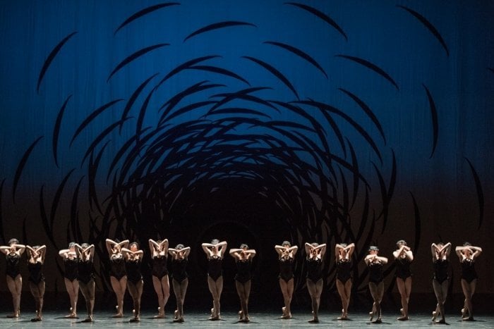 Artists of the Ballet in Emergence. Photo by Karolina Kuras Artists of the Ballet in Emergence. Photo by Karolina Kuras