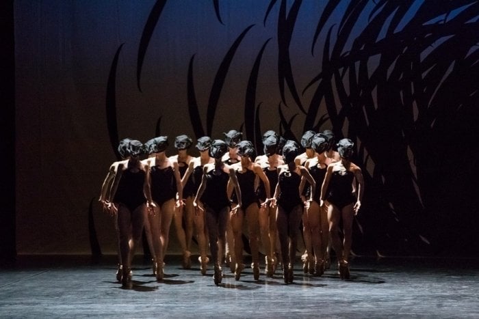 Artists of the Ballet in Emergence. Photo by Karolina Kuras. Artists of the Ballet in Emergence. Photo by Karolina Kuras.