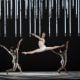 Connectome. Steven McRae. ©ROH Bill Cooper 2014 Connectome. Steven McRae. ©ROH, Bill Cooper, 2014