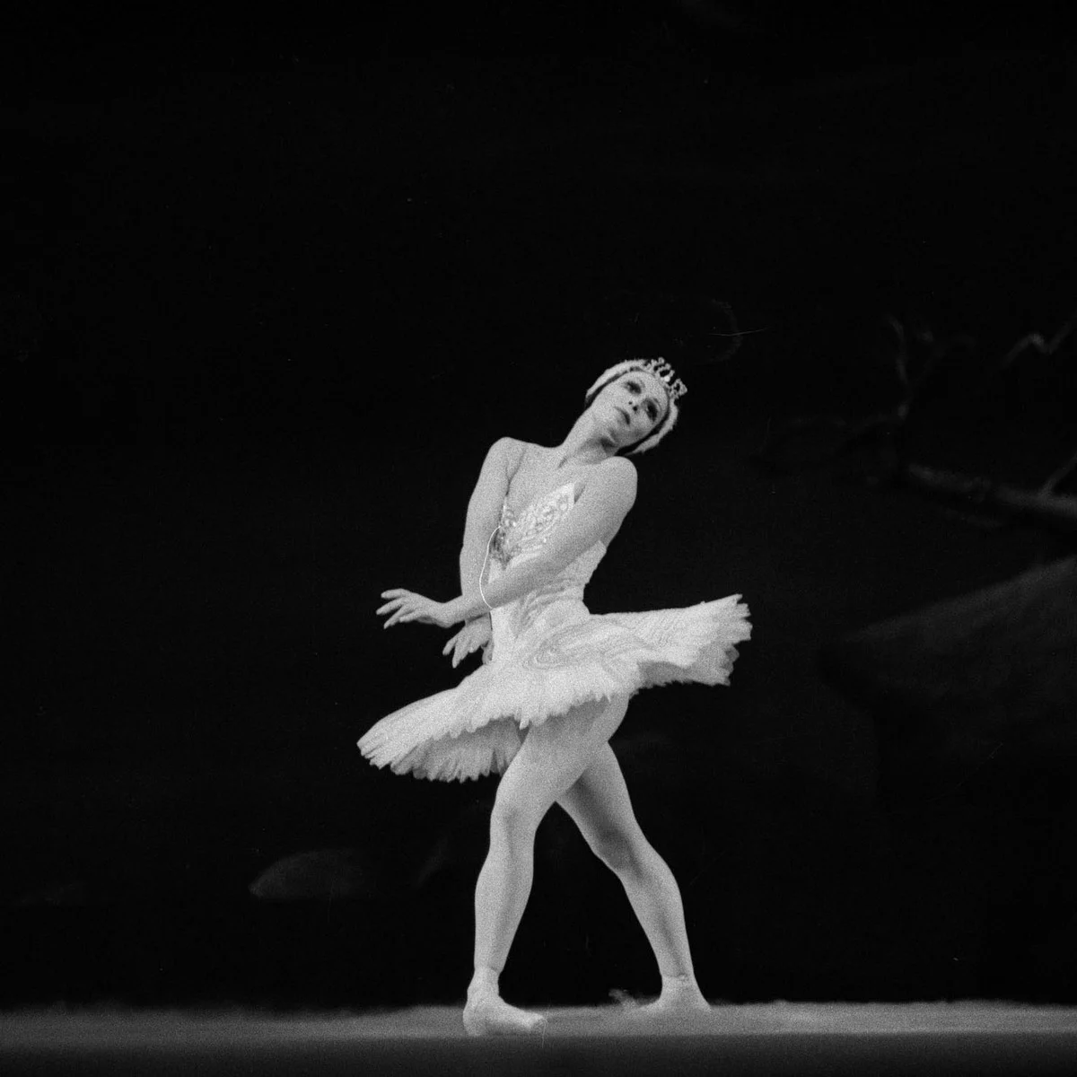 1975 Swan Lake Patricia Ruanne with Paolo Bortoluzzi photo by Erio Piccagliani Teatro alla Scala 02 jpg 1975 Swan Lake - Patricia Ruanne with Paolo Bortoluzzi, photo by Erio Piccagliani, Teatro alla Scala-02