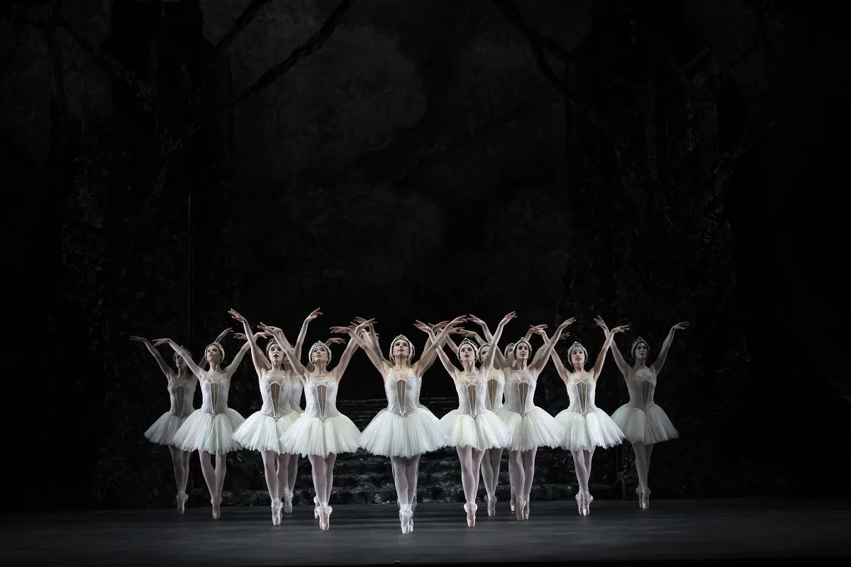Birmingham Royal Ballet Swan Lake photo by Bill Cooper jpg Birmingham Royal Ballet, Swan Lake, photo by Bill Cooper