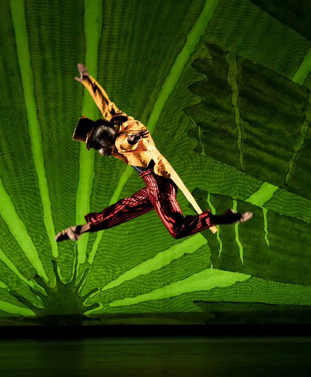 Mathias Dingman as the Brazilian Woolly Monkey in David Bintleys Still Life at the Penguin Cafe. Photo Andrew Ross jpg Mathias Dingman as the Brazilian Woolly Monkey in David Bintley's Still Life at the Penguin Cafe. Photo Andrew Ross