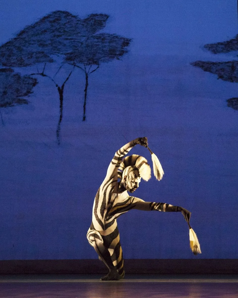 Tyrone Singleton as the Southern Cape Zebra in David Bintleys Still Life at the Penguin Cafe. Photo Bill Cooper2 jpg Tyrone Singleton as the Southern Cape Zebra in David Bintley's Still Life at the Penguin Cafe. Photo Bill Cooper(2)