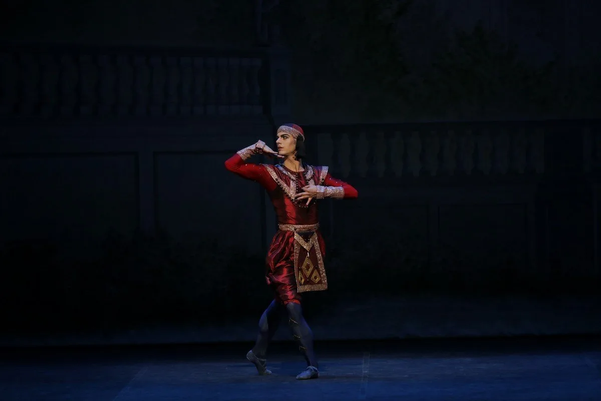 03 LE PAVILLON DARMIDE Davide Dato photo by Brescia e Amisano Teatro alla Scala jpg 03 - LE PAVILLON D'ARMIDE Davide Dato, photo by Brescia e Amisano, Teatro alla Scala