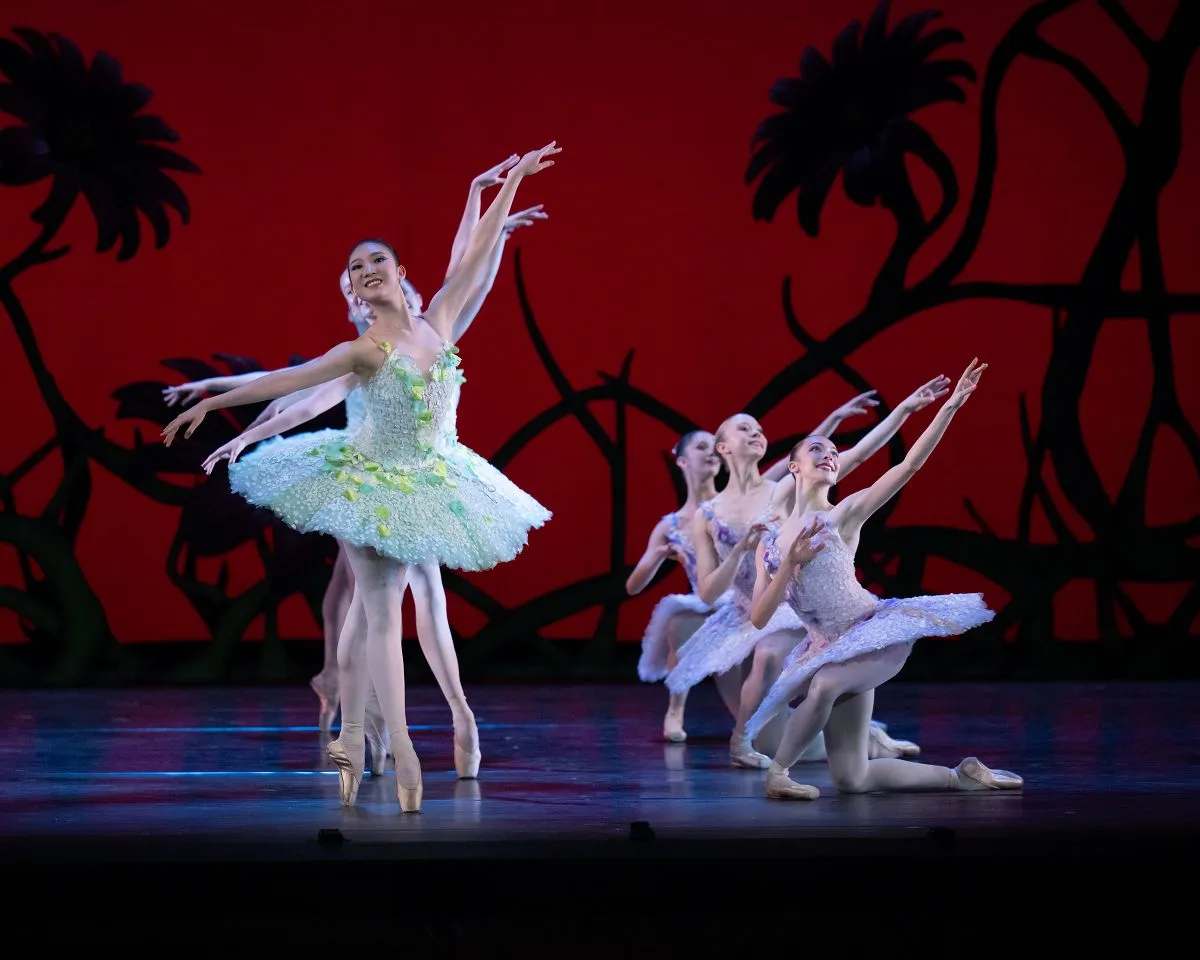 Don Quixote by Carlos Acosta after Marius Petipa 2 jpg Don Quixote by Carlos Acosta after Marius Petipa (2)
