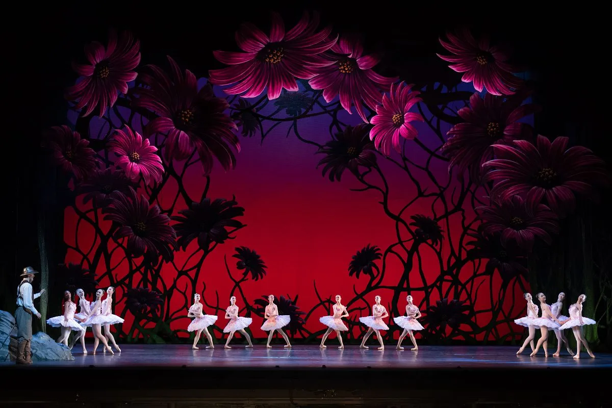 Don Quixote by Carlos Acosta after Marius Petipa 3 jpg Don Quixote by Carlos Acosta after Marius Petipa (3)