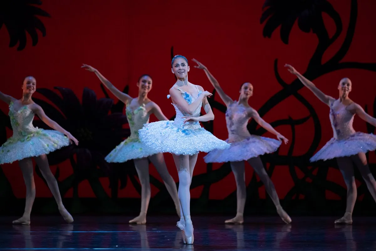 Don Quixote by Carlos Acosta after Marius Petipa Katie Robertson 1 jpg Don Quixote by Carlos Acosta after Marius Petipa - Katie Robertson (1)