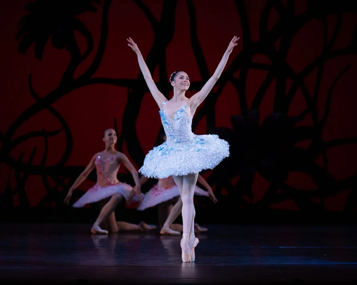 Don Quixote by Carlos Acosta after Marius Petipa Katie Robertson 2 jpg Don Quixote by Carlos Acosta after Marius Petipa - Katie Robertson (2)
