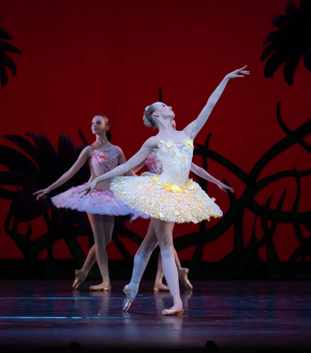 Don Quixote by Carlos Acosta after Marius Petipa Milda Luckute 1 jpg Don Quixote by Carlos Acosta after Marius Petipa - Milda Luckute (1)