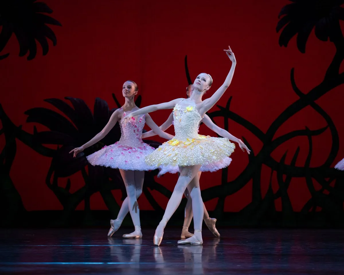 Don Quixote by Carlos Acosta after Marius Petipa Milda Luckute 2 jpg Don Quixote by Carlos Acosta after Marius Petipa - Milda Luckute (2)