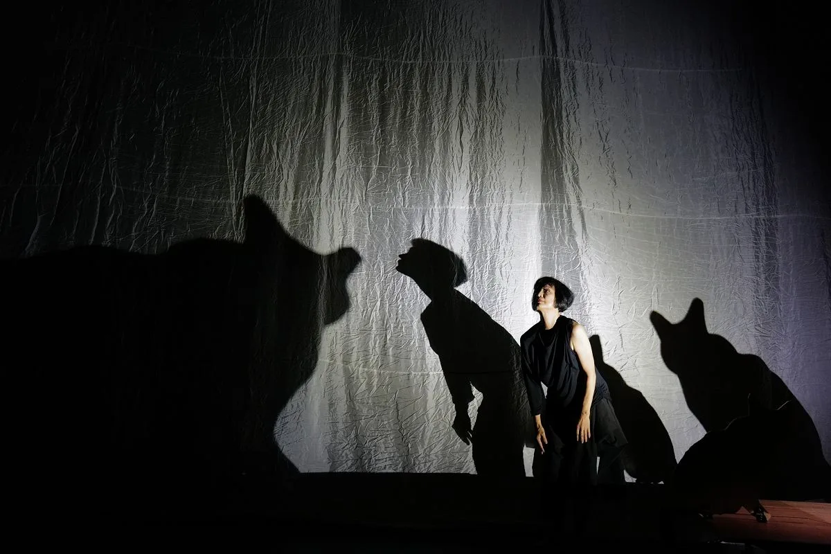 MUI Cheuk Yins Diary VII The Story of. photo CHEUNG Chi Wai 4 jpg MUI Cheuk Yin's Diary VII - The Story of..., photo CHEUNG Chi Wai 4