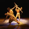Tobias Praetorius 1-Photo Tom McKenzie