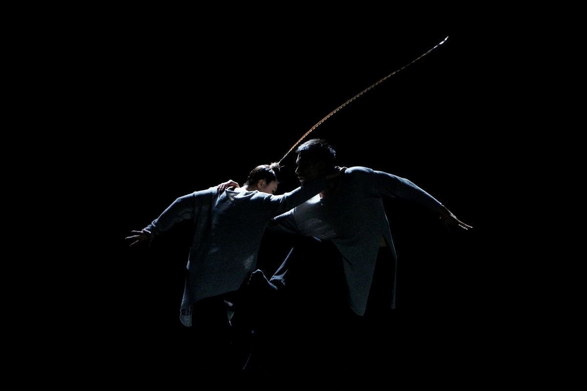 Hung Dance Birdy 2 Hung Dance - Birdy 2
