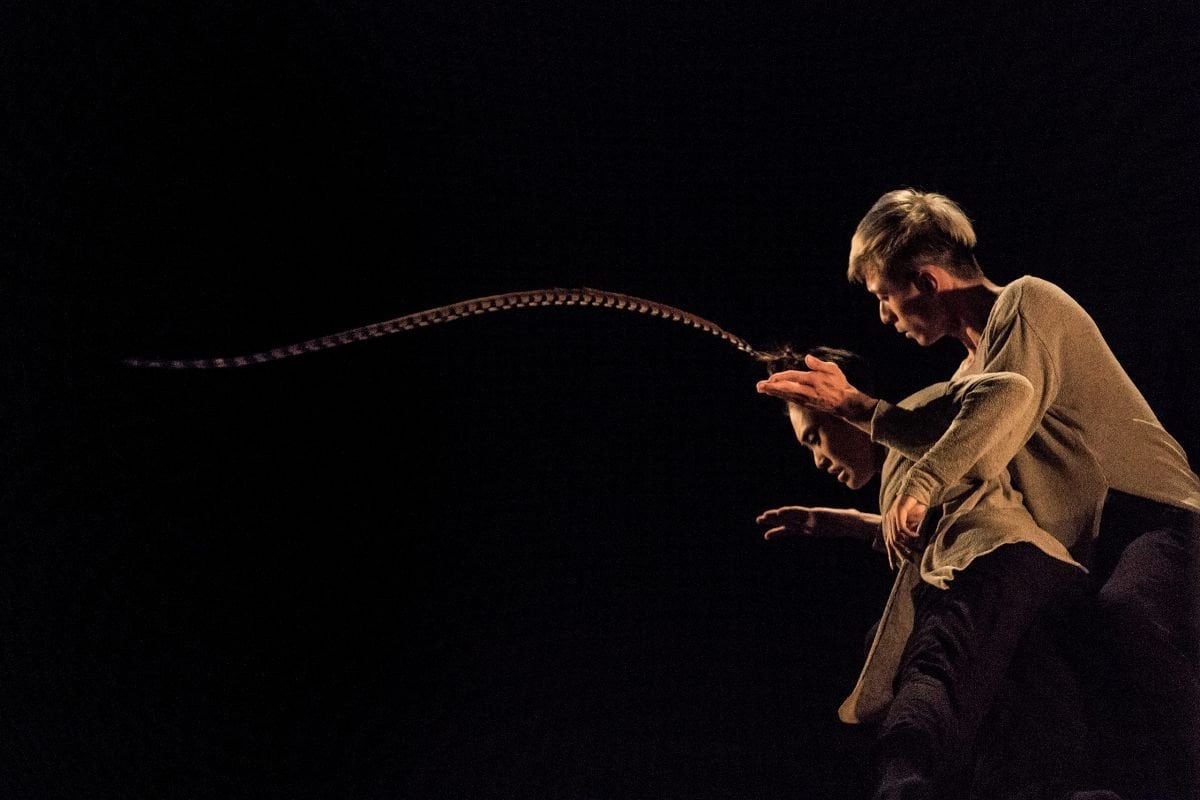 Hung Dance Birdy photo by Jesus Robisco Hung Dance - Birdy, photo by Jesus Robisco