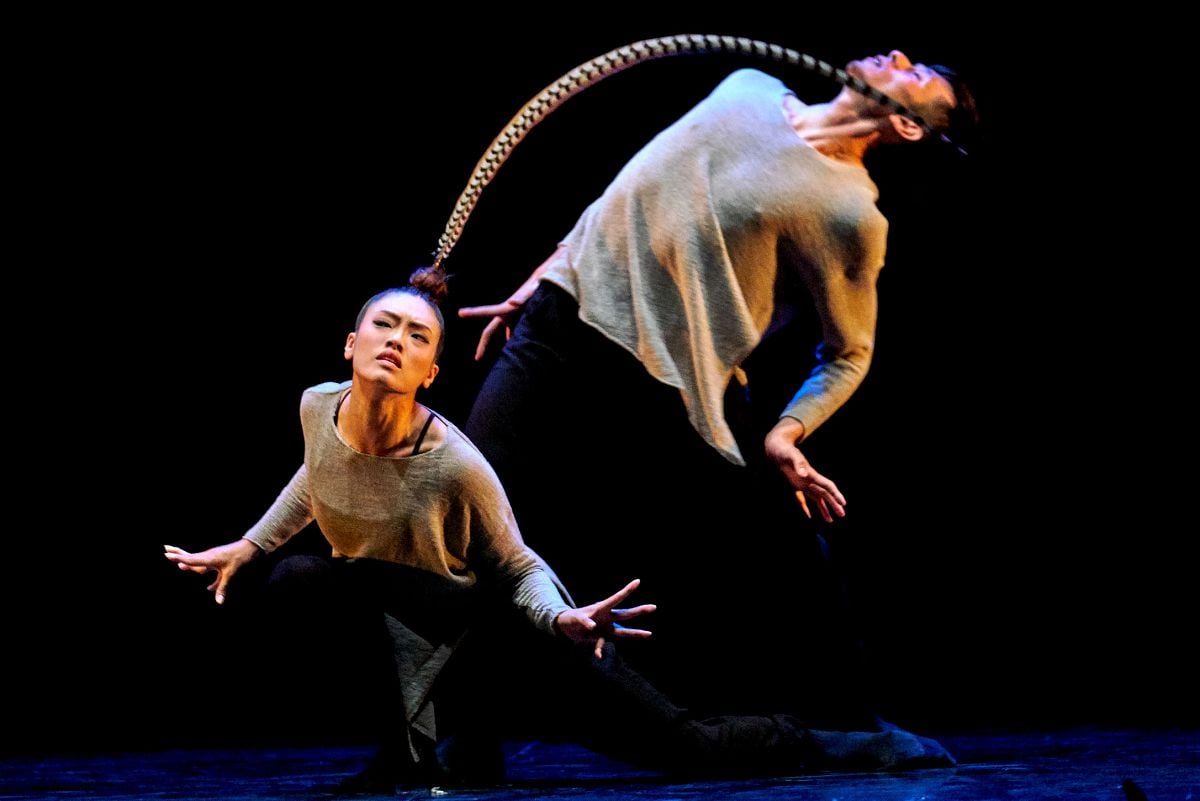Hung Dance Birdy Hung Dance - Birdy