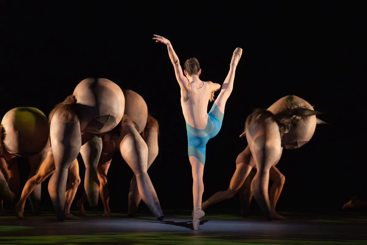 Ashley Dean Descendant Ren and Pigoons in Wayne McGregors MADDADDAM The Royal Ballet c 2024 RBO. Ph Andrej Uspenski Ashley Dean (Descendant Ren) and Pigoons in Wayne McGregor's MADDADDAM, The Royal Ballet (c) 2024 RBO. Ph Andrej Uspenski