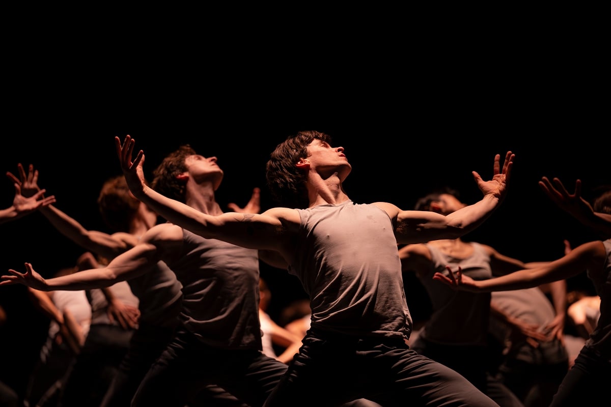 Calvin Richardson in Crystal Pites Light of Passage The Royal Ballet ©2025 Camilla Greenwell Calvin Richardson in Crystal Pite's Light of Passage, The Royal Ballet ©2025 Camilla Greenwell
