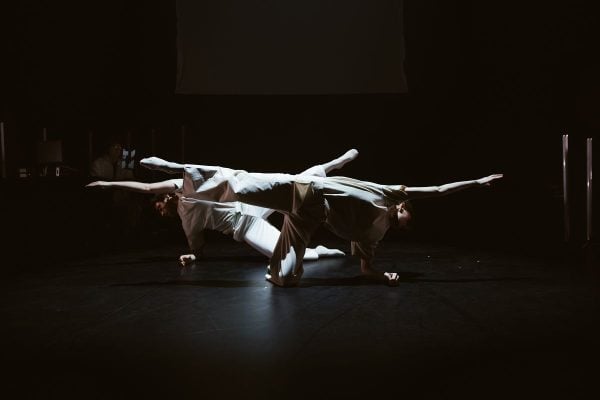 Papillons, photo by Rosie Powell (4)