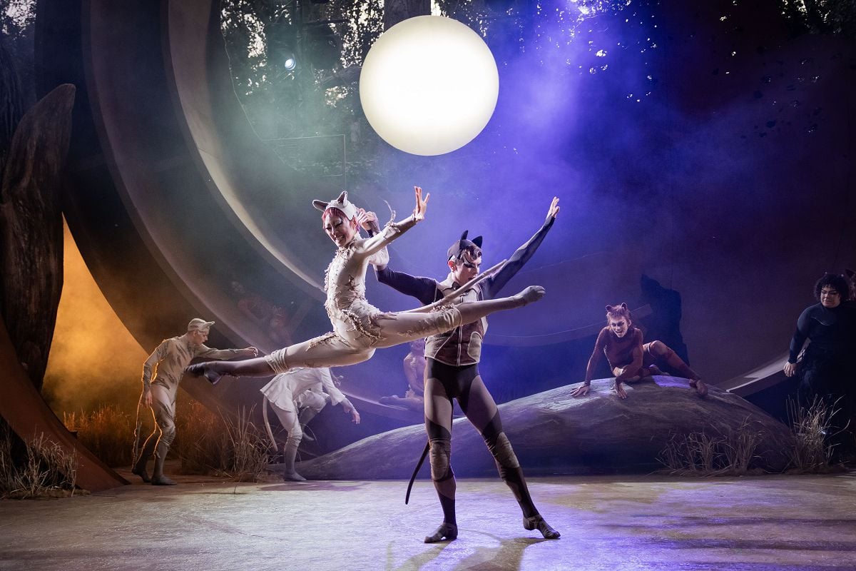 CATS. Patricia Zhou Cassandra Jack Wilcox Munkustrap and cast. Credit Mark Senior CATS. Patricia Zhou (Cassandra), Jack Wilcox (Munkustrap) and cast. Credit Mark Senior