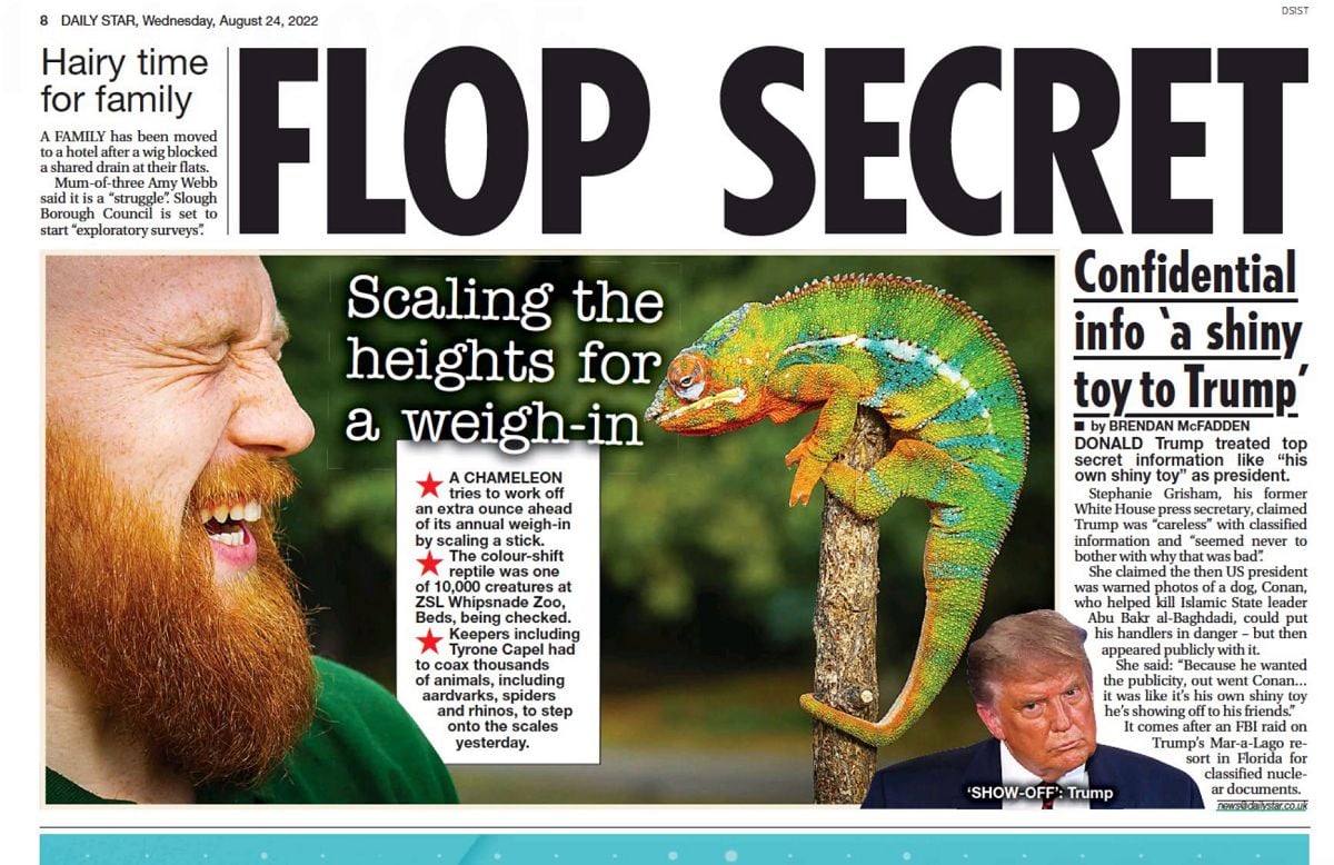 Elliott Franks in print news 2 Elliott Franks in print - news - 2