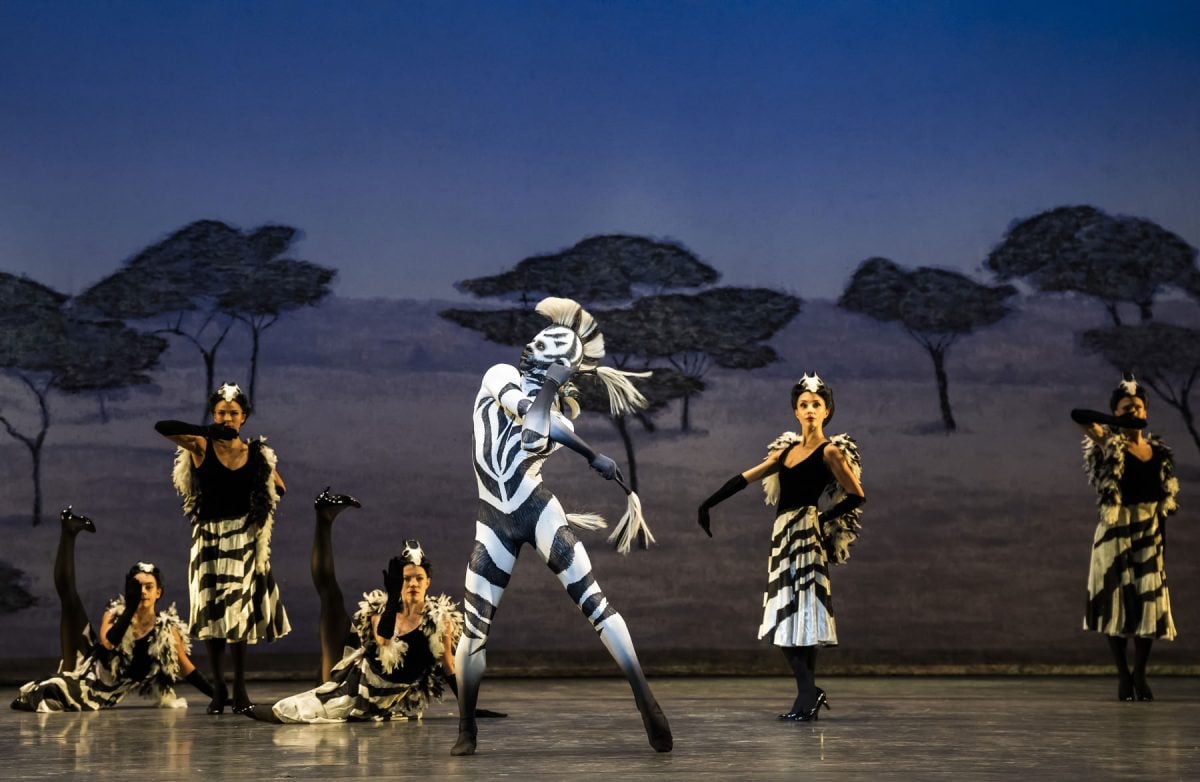 Yasiel Hodelin Bello and Birmingham Royal Ballet Dancers in David Bintleys ‘Still Life at the Penguin Cafe Southern Cape Zebra ©2026 Tristram Kenton Yasiel Hodelín Bello and Birmingham Royal Ballet Dancers in David Bintley’s ‘Still Life’ at the Penguin Café- Southern Cape Zebra ©2026 Tristram Kenton